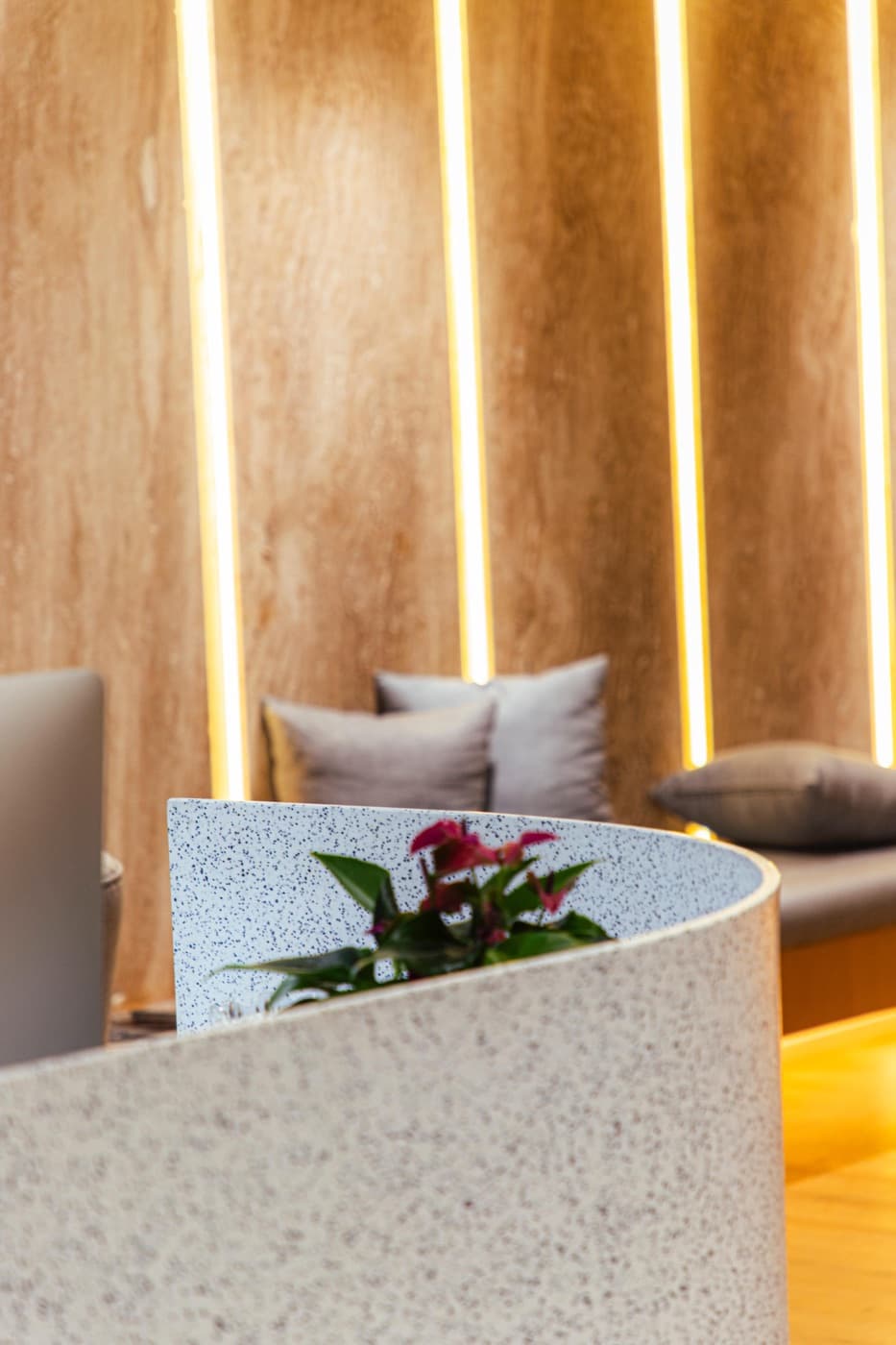 Décoration de l’espace d’attente de la clinique dentaire à Casablanca